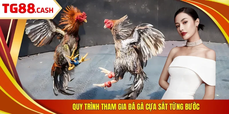 Đá Gà Cựa Sắt - Chơi Cược Nhanh, Kịch Tính, Thắng Lớn Quy trình tham gia đá gà cựa sắt từng bước