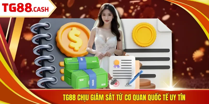 Giấy Phép Hoạt Động TG88 chịu giám sát từ cơ quan quốc tế uy tín