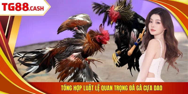 Đá Gà Cựa Dao - 3 Mẹo Thắng 100 Trận Từ Cao Thủ TG88 Tổng hợp luật lệ quan trọng đá gà cựa dao