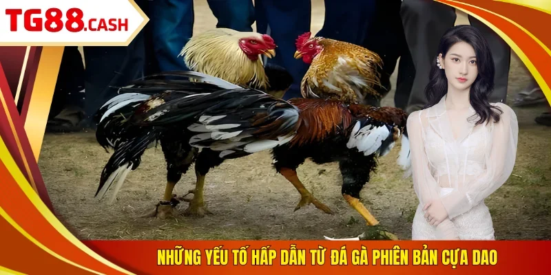 Đá Gà Cựa Dao - 3 Mẹo Thắng 100 Trận Từ Cao Thủ TG88 Những yếu tố hấp dẫn từ đá gà phiên bản cựa dao