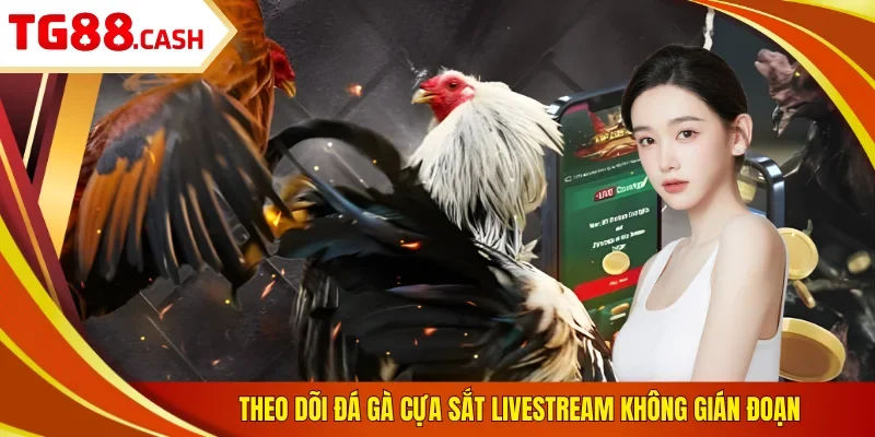 Đá Gà Cựa Sắt - Chơi Cược Nhanh, Kịch Tính, Thắng Lớn Theo dõi đá gà cựa sắt livestream không gián đoạn