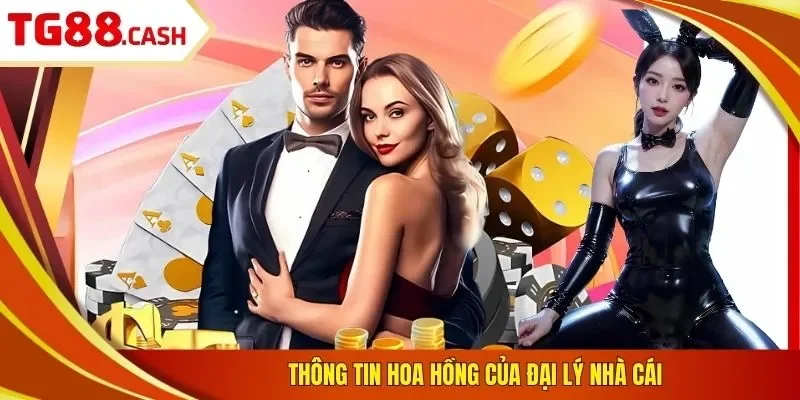Thông tin hoa hồng của đại lý nhà cái