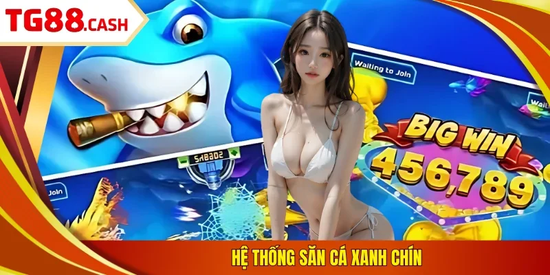 MG Bắn Cá - Thỏa Sức Trải Nghiệm, Nhận Ngay Ưu Đãi Khủng Hệ thống săn cá xanh chín